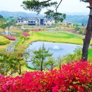 (주)노블리아 네이버블로그