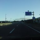 제주의 제주마 이미지