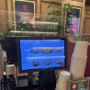 금호4가(얼음가게) | 도야짬뽕 금호점 솔직후기｜불향 가득한 동네 짬뽕 맛집