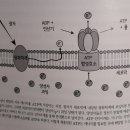 빅픽처6(Big Picture6) 이미지