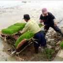 포두면사무소 이미지