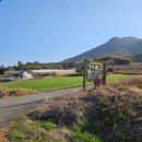 팔영산자연휴양림주차장 이미지