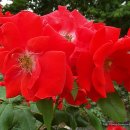 수인공원 이미지