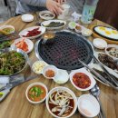 도야돼지한마리