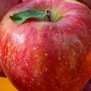 청송세차장 이미지