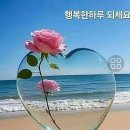 모담 Daum카페