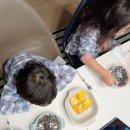 크레타PC | [워드파이] 노래로 공부하는 어린이 영어 , 엄마표영어,7세영어로 추천! 아이들이 좋아해요!