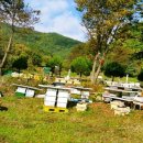 효선농장 이미지