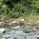 선비꼬마김밥 구미형곡점 이미지