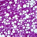 상대원 동물병원 이미지