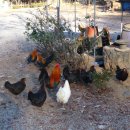 방원가든 이미지