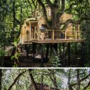 트리하우스 이미지