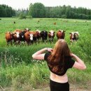 개밥주세요 이미지