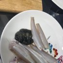 메가보트스테이 이미지