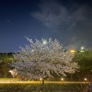 두진 당구장 | 수원 광교 스터디카페 커피랑 도서관 경기대점 이용 후기