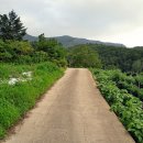 ** 600m 고지의 멋진 조망이 가슴에 파도치는 "대화 황토주택"/ 일억삼천만원 이미지