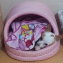 개똥이 이미지