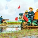 정렬농장 이미지