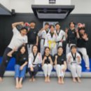 스타 익스트림 태권도 네이버블로그
