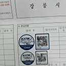 오토어반 이미지
