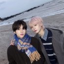 요치요치 이미지