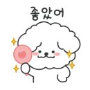 아이코아안경 위드렌즈 이미지