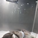 길동물병원 이미지