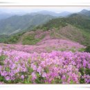 정문기목장 이미지