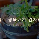 왕뚝배기감자탕 이미지