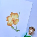 [직장인]식물세밀화 색연필 보타니컬아트(수)19:00 | 분당 판교 서판교 운중동 취미미술 화실 | 앝짙 아트 스튜디오 _ 색연필 수채화 식물 세밀화 보태니컬아트