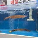 (주)단디 | 농어 한 마리에 저녁이 길어진 단디수산 솔직후기
