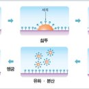 세탁연구소 이미지