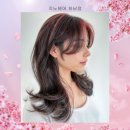 지노헤어숍 네이버블로그