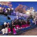 영덕05 | 좋은사람들 영덕벚꽃음악회 2026.04.05