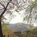 아원스터디 네이버블로그