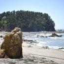 파도콘도형 민박 이미지