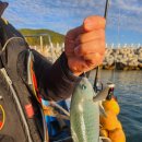 남해바다풍경 이미지