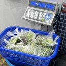 또또회수산 | [맛집리뷰]대구 초초초맛있고 가성비 넘치는 포장,배달 전문 횟집_침산동 &#34;또또회수산&#34;