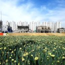 소금부동산공인중개사사무소 이미지