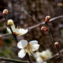 3.8. 진주 까꼬실 둘레길 이미지