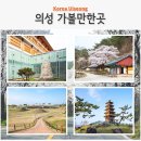석탑세탁소 | 경북 의성 가볼만한곳 고운사 카페 최치원문학관 조문국 사적지 박물관 작약꽃 탑리 오층석탑과 먹거리