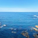 비다펠리즈 이미지