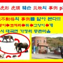 Re 2: 오수부동격..... 이미지