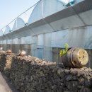 구억리 노랑굴 이미지