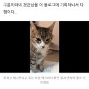 햄튜브