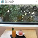 효정민박 | 제주 카페 추천 13 (효리네민박에 나온 아이유 카페 포함)