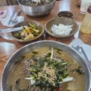 서천동 | 🍜 용인 서천동 강릉해변메밀막국수 + 카페 서천 후기