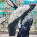 소정천삼거리 이미지