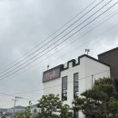 빛담 | 물왕저수지대형카페 빛담 방문 솔직후기