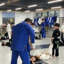 미르 주짓수 유도관 이미지